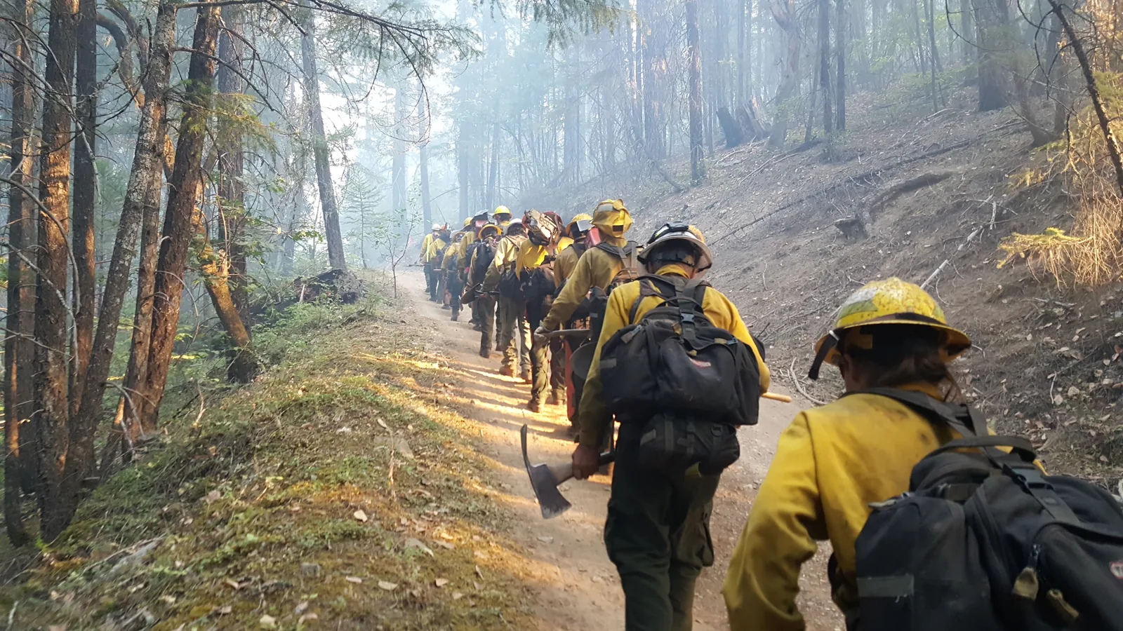 A procession of firefighters carrying packs and tools along a forest trail.