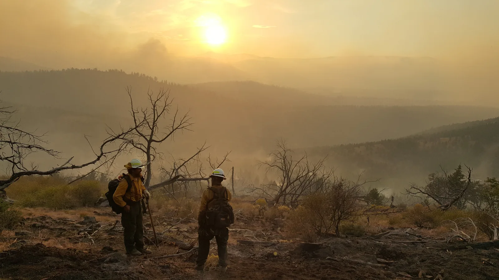 Two firefighters on a smoky ridge under a low golden sun.